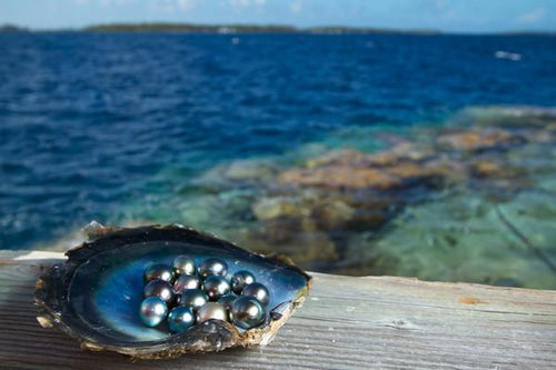 Tahitian Pearl Jewelry By Kamoka – Kamoka Pearl