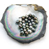 Surprise 8 to 10mm Loose Kamoka Tahitian Pearl