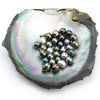 8 to 10mm Kamoka Loose Tahitian Pearl With Polished Shell