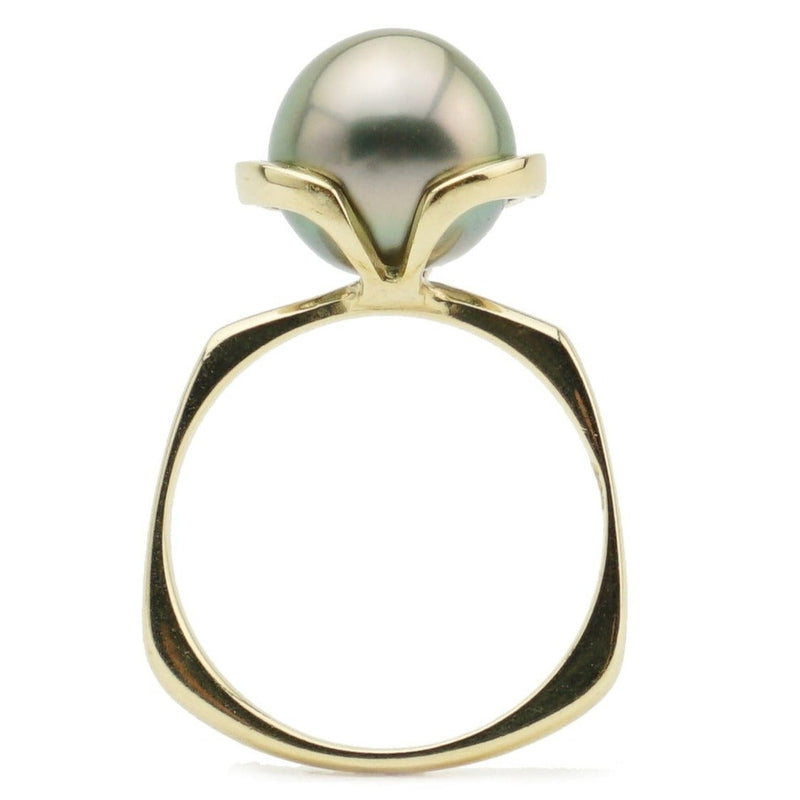 Rose gold glow Tahitian pearl euro shank ring