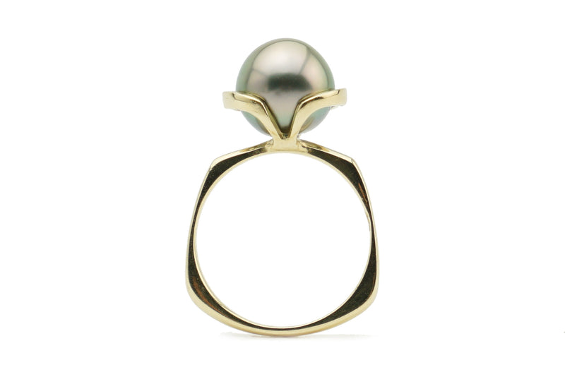 Rose gold glow Tahitian pearl euro shank ring