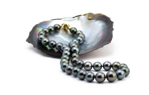 Black Tahitian Pearl 11-13mm necklace Kamala Harris